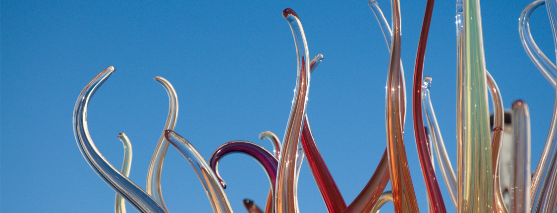 ITALIAN LIMITED EDITION