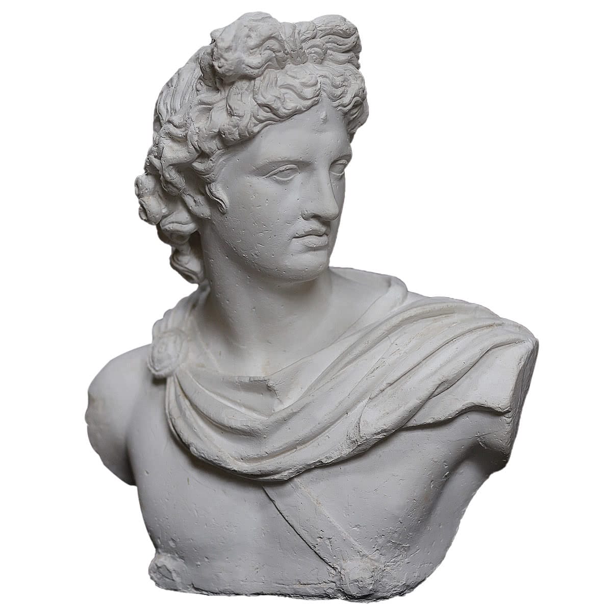 Busto in gesso Apollo del Belvedere