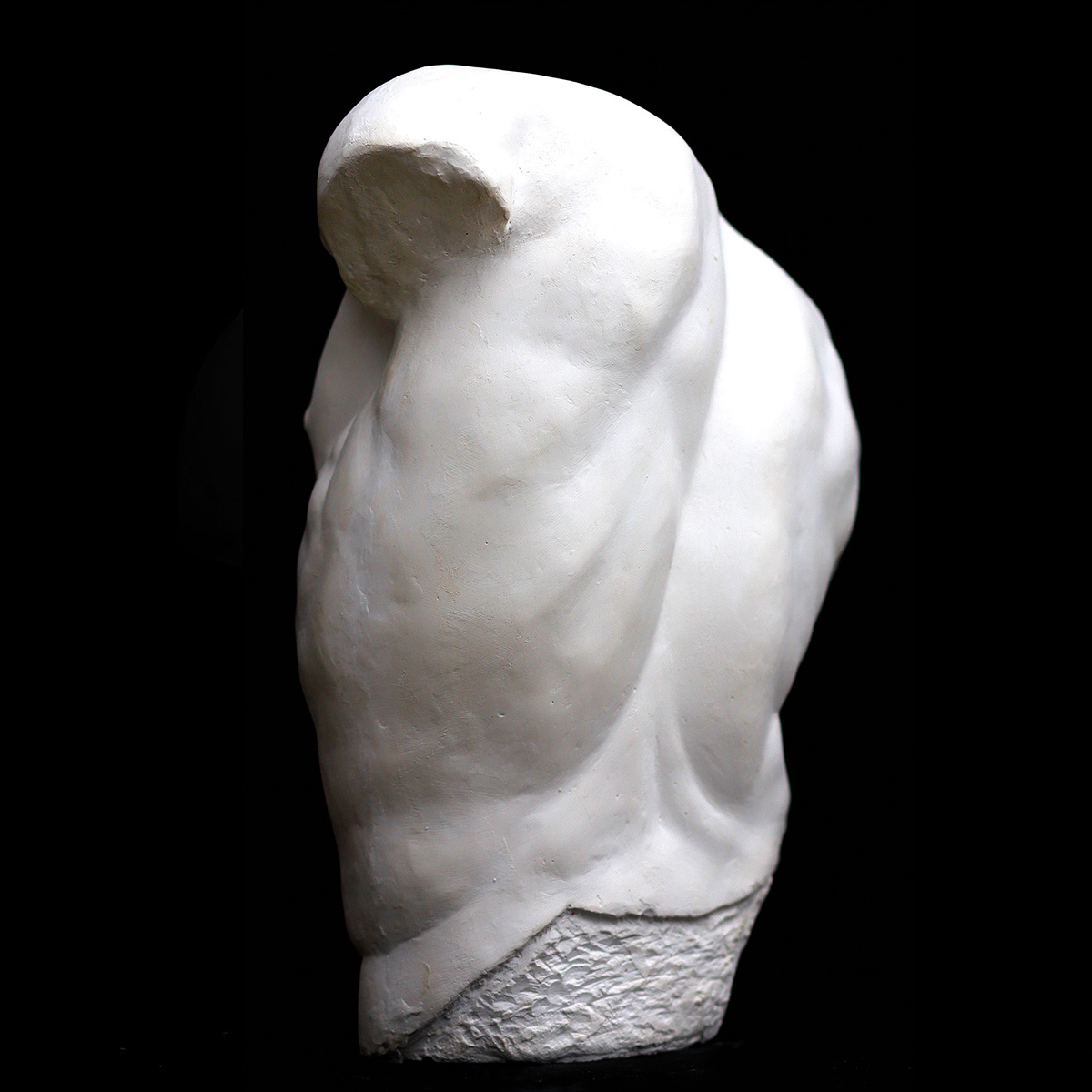 Busto in gesso Torso Gaddi by Studio Galleria Romanelli