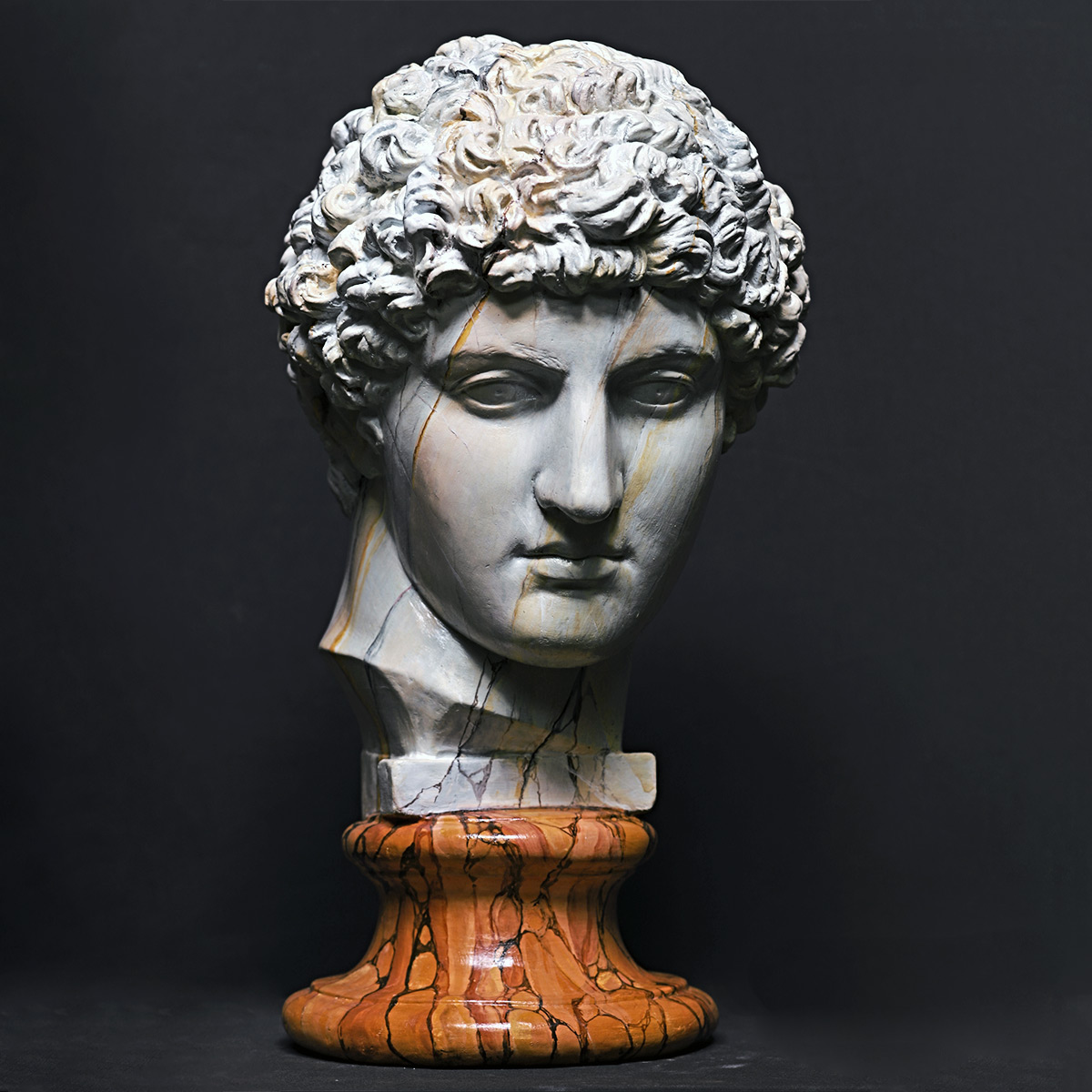 Testa in gesso Antinoo by Studio Galleria Romanelli