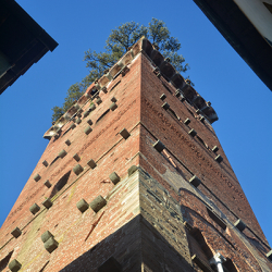 Torre Guinigi