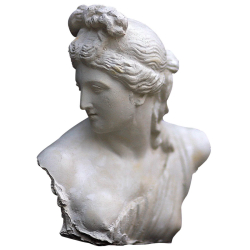 Scultura in gesso Venere Callipigia