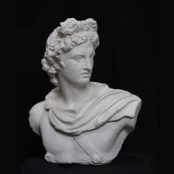 Busto in gesso Apollo del Belvedere by Studio Galleria Romanelli