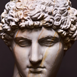 Testa in gesso Antinoo by Studio Galleria Romanelli