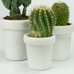Vaso in marmo Cactus ,  bianco carrara by Carrara Home Design 