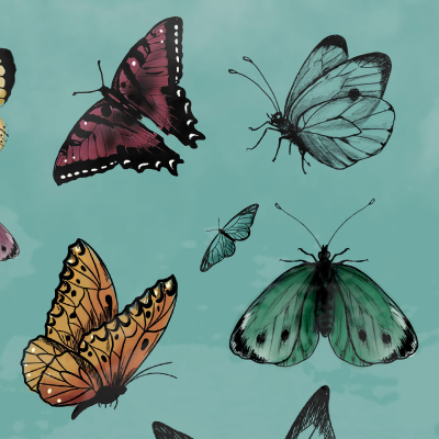Rivestimento per pareti Butterfly, carta vinilica TNT by Officinarkitettura