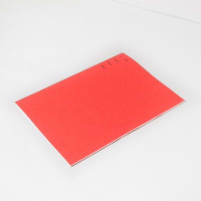 Quaderno Notebook Basic Red, L by Rubbettino